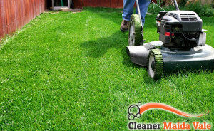 lawn-mowing-services-maida-vale